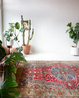 Vintage Turkish rug in a living room setting, pile rug, Turkish rug, vintage rug, portland, rug shop, bright colors, wild shaman, soft rug, bold color, Portland, Oregon, rug store, rug shop, local shop, antique rug