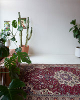 Vintage Turkish rug in a living room setting, pile rug, Turkish rug, vintage rug, portland, rug shop, bright colors, wild shaman, soft rug, bold color, Portland, Oregon, rug store, rug shop, local shop, antique rug