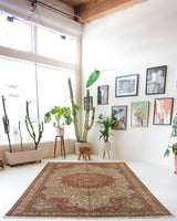 Vintage Turkish rug in living room setting, old rug, antique rug, pastel colors, faded colors, Turkish rug, vintage rug, soft rug, Portland, Oregon, rug store, rug shop, local shop