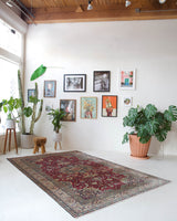 Vintage Turkish rug in a living room setting, pile rug, Turkish rug, vintage rug, portland, rug shop, bright colors, wild shaman, soft rug, bold color, Portland, Oregon, rug store, rug shop, local shop, antique rug