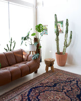 Vintage Turkish rug in a living room setting, pile rug, Turkish rug, vintage rug, portland, rug shop, bright colors, wild shaman, soft rug, bold color, Portland, Oregon, rug store, rug shop, local shop, antique rug