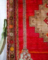 Vintage Turkish rug in a living room setting, pile rug, Turkish rug, vintage rug, portland, rug shop, bright colors, wild shaman, soft rug, bold color, Portland, Oregon, rug store, rug shop, local shop, antique rug