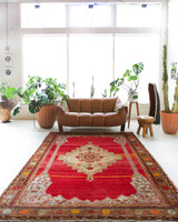 Vintage Turkish rug in a living room setting, pile rug, Turkish rug, vintage rug, portland, rug shop, bright colors, wild shaman, soft rug, bold color, Portland, Oregon, rug store, rug shop, local shop, antique rug