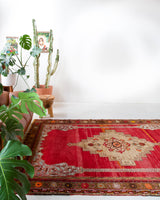 Vintage Turkish rug in a living room setting, pile rug, Turkish rug, vintage rug, portland, rug shop, bright colors, wild shaman, soft rug, bold color, Portland, Oregon, rug store, rug shop, local shop, antique rug