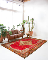 Vintage Turkish rug in a living room setting, pile rug, Turkish rug, vintage rug, portland, rug shop, bright colors, wild shaman, soft rug, bold color, Portland, Oregon, rug store, rug shop, local shop, antique rug