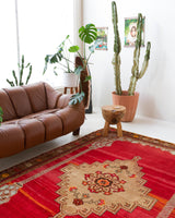 Vintage Turkish rug in a living room setting, pile rug, Turkish rug, vintage rug, portland, rug shop, bright colors, wild shaman, soft rug, bold color, Portland, Oregon, rug store, rug shop, local shop, antique rug