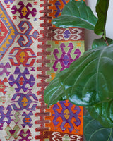 Vintage kilim rug in living room setting, bright colors, wild shaman, soft rug, bold color, Portland, Oregon, rug store, rug shop, local shop, vintage rug, modern kilim, warm colors