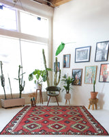Vintage kilim rug in living room setting, bright colors, wild shaman, soft rug, bold color, Portland, Oregon, rug store, rug shop, local shop, vintage rug, modern kilim, warm colors