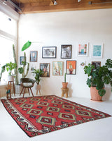 Vintage kilim rug in living room setting, bright colors, wild shaman, soft rug, bold color, Portland, Oregon, rug store, rug shop, local shop, vintage rug, modern kilim, warm colors