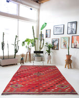 Vintage kilim rug in living room setting, bright colors, wild shaman, soft rug, bold color, Portland, Oregon, rug store, rug shop, local shop, vintage rug, modern kilim, warm colors