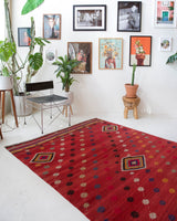 Vintage kilim rug in living room setting, bright colors, wild shaman, soft rug, bold color, Portland, Oregon, rug store, rug shop, local shop, vintage rug, modern kilim, warm colors