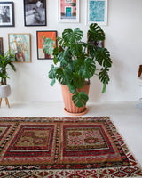 Vintage kilim rug in living room setting, old rug, antique rug, pastel colors, faded colors, Turkish rug, vintage rug, soft rug, Portland, Oregon, rug store, rug shop, local shop, earthy tones, earthy colors, warm colors