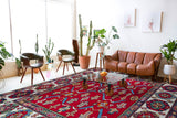 Area rug in a living room setting, pile rug, Turkish rug, custom rug, , new rug, modern rug, customizable rug, made to order rug, portland, rug shop, bright colors, wild shaman, soft rug, bold color, Portland, Oregon, rug store, rug shop, local shop, made in Turkey
