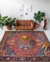 pile rug, Turkish rug, vintage rug, portland, rug shop, bright colors, wild shaman, soft rug, bold color, Portland, Oregon, rug store, rug shop, local shop, Persian rug