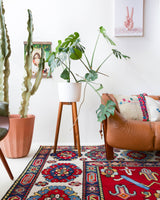 Area rug in a living room setting, pile rug, Turkish rug, custom rug, , new rug, modern rug, customizable rug, made to order rug, portland, rug shop, bright colors, wild shaman, soft rug, bold color, Portland, Oregon, rug store, rug shop, local shop, made in Turkey