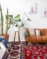 Area rug in a living room setting, pile rug, Turkish rug, custom rug, , new rug, modern rug, customizable rug, made to order rug, portland, rug shop, bright colors, wild shaman, soft rug, bold color, Portland, Oregon, rug store, rug shop, local shop, made in Turkey