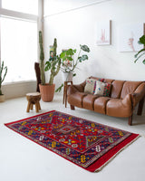 Vintage Turkish rug in a living room setting, pile rug, Turkish rug, vintage rug, portland, rug shop, bright colors, wild shaman, soft rug, bold color, Portland, Oregon, rug store, rug shop, local shop, antique rug