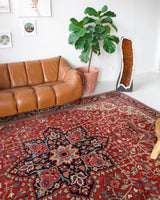 pile rug, Turkish rug, vintage rug, portland, rug shop, bright colors, wild shaman, soft rug, bold color, Portland, Oregon, rug store, rug shop, local shop, Persian rug