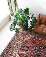 pile rug, Turkish rug, vintage rug, portland, rug shop, bright colors, wild shaman, soft rug, bold color, Portland, Oregon, rug store, rug shop, local shop, Persian rug