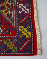 Vintage Turkish rug in a living room setting, pile rug, Turkish rug, vintage rug, portland, rug shop, bright colors, wild shaman, soft rug, bold color, Portland, Oregon, rug store, rug shop, local shop, antique rug