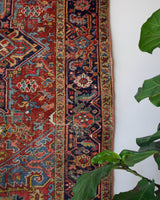 pile rug, Turkish rug, vintage rug, portland, rug shop, bright colors, wild shaman, soft rug, bold color, Portland, Oregon, rug store, rug shop, local shop, Persian rug
