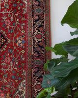 pile rug, Turkish rug, vintage rug, portland, rug shop, bright colors, wild shaman, soft rug, bold color, Portland, Oregon, rug store, rug shop, local shop, Persian rug