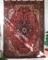 pile rug, Turkish rug, vintage rug, portland, rug shop, bright colors, wild shaman, soft rug, bold color, Portland, Oregon, rug store, rug shop, local shop, Persian rug