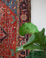 pile rug, Turkish rug, vintage rug, portland, rug shop, bright colors, wild shaman, soft rug, bold color, Portland, Oregon, rug store, rug shop, local shop, Persian rug