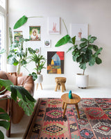 Vintage kilim rug in living room setting, bright colors, wild shaman, soft rug, bold color, Portland, Oregon, rug store, rug shop, local shop, vintage rug, modern kilim, warm colors