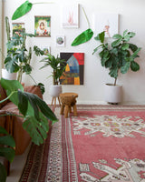 Area rug in a living room setting, pile rug, Turkish rug, old rug, antique rug, pastel colors, faded colors, Turkish rug, vintage rug, soft rug, Portland, Oregon, rug store, rug shop, local shop, distressed rug, worn out rug