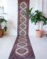 Vintage Turkish runner rug in living room setting, old rug, antique rug, pastel colors, faded colors, Turkish rug, vintage rug, soft rug, Portland, Oregon, rug store, rug shop, local shop