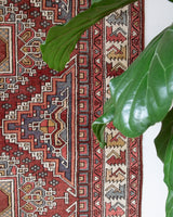 Vintage Turkish rug in living room setting, old rug, antique rug, pastel colors, faded colors, Turkish rug, vintage rug, soft rug, Portland, Oregon, rug store, rug shop, local shop