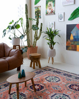 Vintage Turkish rug in a living room setting, pile rug, Turkish rug, vintage rug, portland, rug shop, bright colors, wild shaman, soft rug, bold color, Portland, Oregon, rug store, rug shop, local shop,