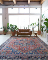 Antique Persian area rug in a living room setting, pile rug, vintage rug, portland, rug shop, bright colors, wild shaman, soft rug, bold color, Portland, Oregon, rug store, rug shop, local shop, antique rug, Persian rug, handmade rug, wool rug, distressed rug