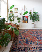 Antique Persian area rug in a living room setting, pile rug, vintage rug, portland, rug shop, bright colors, wild shaman, soft rug, bold color, Portland, Oregon, rug store, rug shop, local shop, antique rug, Persian rug, handmade rug, wool rug, distressed rug