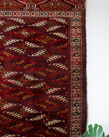 old rug, antique rug, Turkish rug, Portland, Oregon, rug store, rug shop, local shop, bright colors, wild shaman, large rug, area rug, red rug, bold color, burgundy, dark red, soft rug
