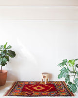pile rug, Turkish rug, vintage rug, portland, rug shop, bright colors, wild shaman, soft rug, bold color, Portland, Oregon, rug store, rug shop, local shop, antique rug