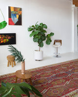 Vintage kilim rug in room decor setting, old rug, antique rug, pastel colors, faded colors, Turkish rug, vintage rug, soft rug, Portland, Oregon, rug store, rug shop, local shop, bold colors, bright colors, faded colors