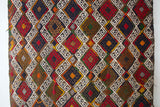 pile rug runner, Turkish rug, vintage rug, portland, rug shop, bright colors, wild shaman, runner rug, bold color, Portland, Oregon, rug store, rug shop, local shop, hallway runner, skinny runner, kilim runner,  earthy colors, faded colors