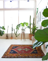 Vintage Turkish rug in a living room setting, pile rug, Turkish rug, vintage rug, portland, rug shop, bright colors, wild shaman, soft rug, bold color, Portland, Oregon, rug store, rug shop, local shop, antique rug