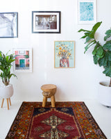 Vintage Turkish rug in a living room setting, pile rug, Turkish rug, vintage rug, portland, rug shop, bright colors, wild shaman, soft rug, bold color, Portland, Oregon, rug store, rug shop, local shop, antique rug