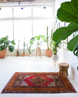 Vintage Turkish rug in a living room setting, pile rug, Turkish rug, vintage rug, portland, rug shop, bright colors, wild shaman, soft rug, bold color, Portland, Oregon, rug store, rug shop, local shop, antique rug