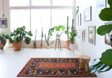 Vintage Turkish rug in a living room setting, pile rug, Turkish rug, vintage rug, portland, rug shop, bright colors, wild shaman, soft rug, bold color, Portland, Oregon, rug store, rug shop, local shop, antique rug