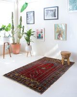 Vintage Turkish rug in a living room setting, pile rug, Turkish rug, vintage rug, portland, rug shop, bright colors, wild shaman, soft rug, bold color, Portland, Oregon, rug store, rug shop, local shop, antique rug