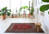 Vintage Turkish rug in a living room setting, pile rug, Turkish rug, vintage rug, portland, rug shop, bright colors, wild shaman, soft rug, bold color, Portland, Oregon, rug store, rug shop, local shop, antique rug