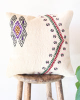 pillow, turkish pillow, kilim pillow, home decor, decorative pillow, sham, rug pillow, decor, home decor, pouf, floor cushion, cushion, Portland, rugshop, Oregon, Wild Shaman, ottoman