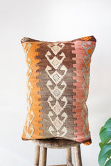 pillow, turkish pillow, kilim pillow, home decor, decorative pillow, sham, rug pillow, decor, home decor, pouf, floor cushion, cushion, Portland, rugshop, Oregon, Wild Shaman, ottoman