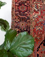 Antique Persian area rug in a living room setting, pile rug, Turkish rug, old rug, antique rug, pastel colors, faded colors, Turkish rug, vintage rug, soft rug, Portland, Oregon, rug store, rug shop, local shop, distressed rug, worn out rug