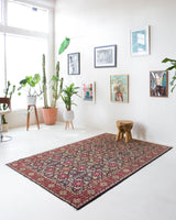 Vintage Turkish rug in a living room setting, pile rug, Turkish rug, vintage rug, portland, rug shop, bright colors, wild shaman, soft rug, bold color, Portland, Oregon, rug store, rug shop, local shop, antique rug