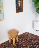 Vintage Turkish rug in a living room setting, pile rug, Turkish rug, vintage rug, portland, rug shop, bright colors, wild shaman, soft rug, bold color, Portland, Oregon, rug store, rug shop, local shop, antique rug